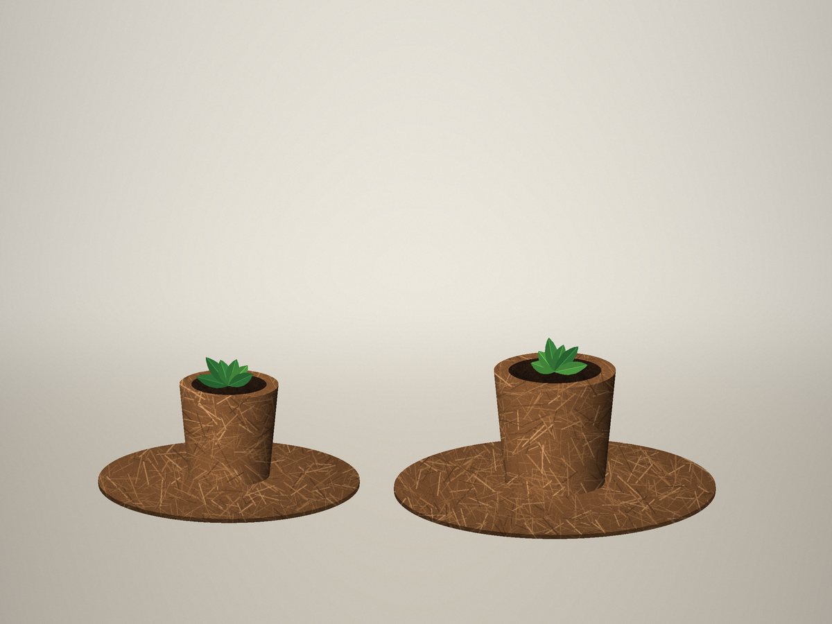 Coir mulch discs around potted plants