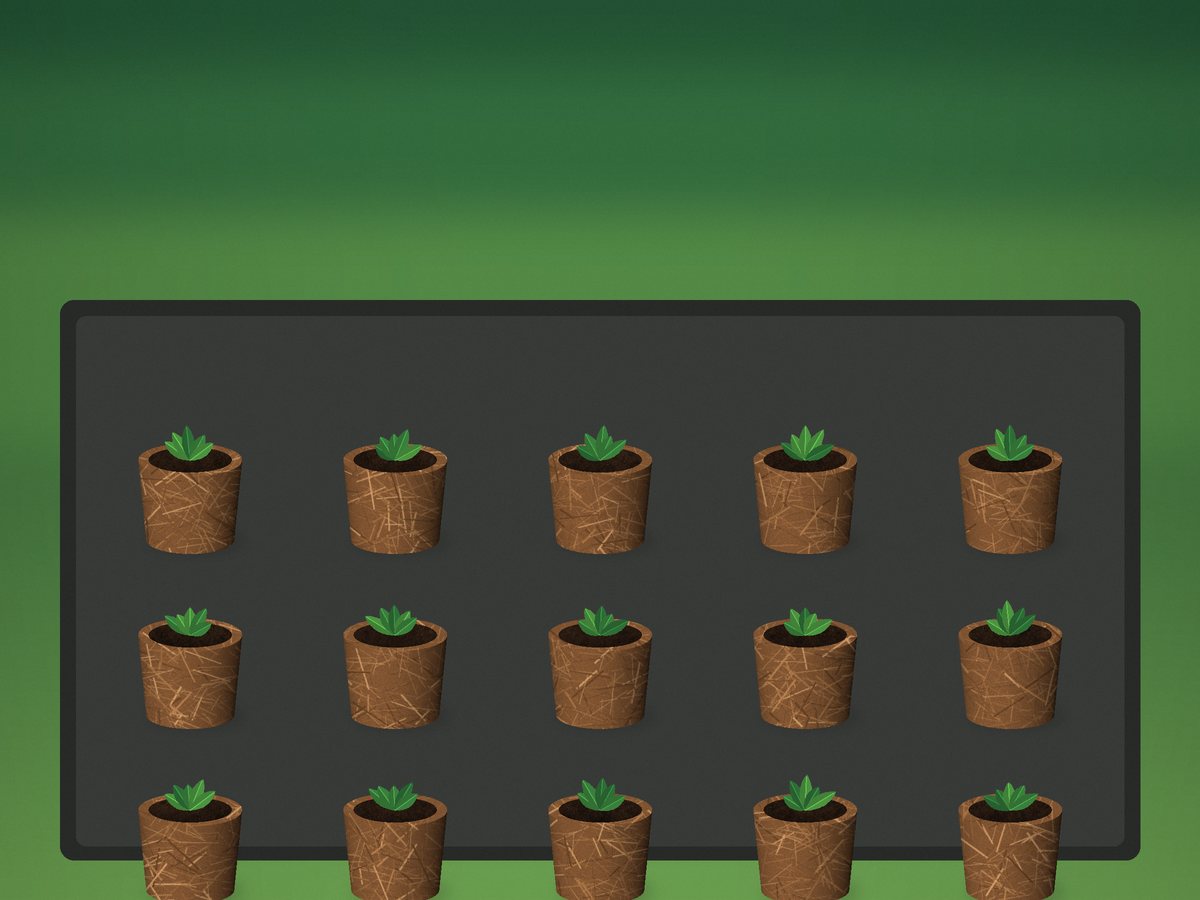 Seedlings growing in coir cups on a nursery tray