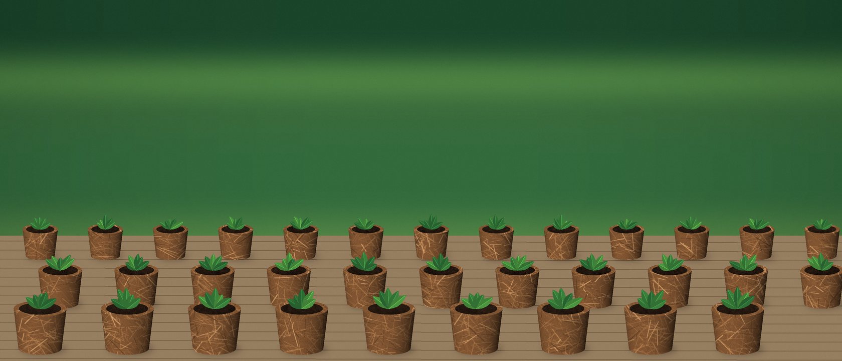 Modern greenhouse nursery container cultivation with coir substrate