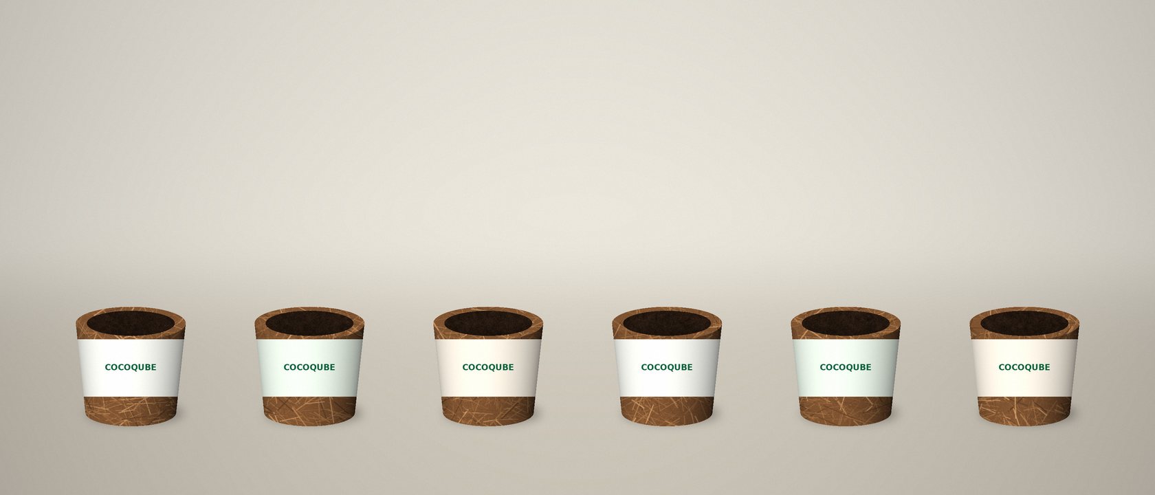 Retail-packed briquettes with printed sleeves